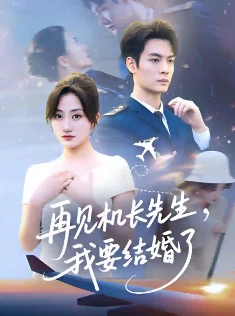 再见机长先生我要结婚了（再见机长先生，我要结婚了）